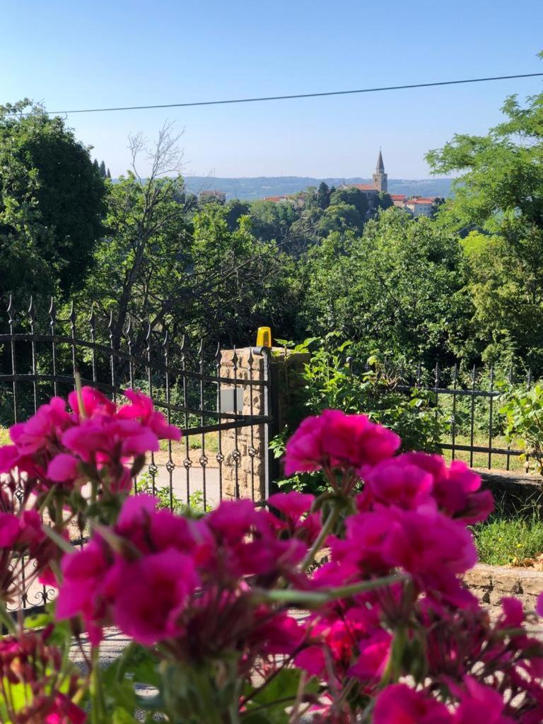 Apartman Villa Romana Grožnjan Exteriör bild